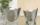 Gilde Keramik Teelichthalter &quot;Circular&quot;, silber   T=14 cm B=14,5 cm H=12 cm