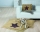 Gilde Textil  Kissen Hundebett "My Star" ocker,burgund Länge 100 cm Breite 135 cm  48163