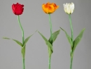 Tulpe 64cm farblich sortiert 470824