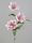 Formano Magnolienzweig  rosa-weiss     674340