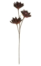 Gilde Echeveria mit 3 Blüten
burgund
Breite 15,0 cm Höhe 85,0 cm Durchm. 30,0 cm 42655