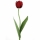 Tulpe Knospe rot 44 cm 468085
