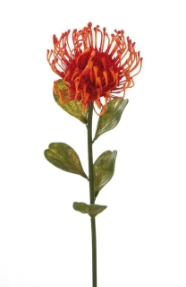 Gilde Blume Protea aus Kunststoff · orange  Höhe 49 cm   53950