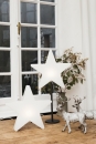 8 Seasons Shining Window Star (LED) 32495L