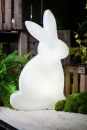 8 Seasons Shining Rabbit 50 (Solar) 32478S