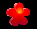 8Seasons Shining Flower Ø 40 cm (rot) 32405