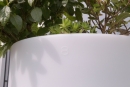 8 Seasons Shining Curvy Pot M (RGB) 32054L
