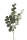Fink EUCALYPTUSZWEIG dunkel-grün  Höhe 110cm 188121