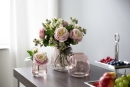 Fink SUNDAY Vase,Glas,rose  Höhe 11, Ø 10,5cm...