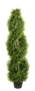 Fink Zypresse Spirale,getopft,grün H.120cm