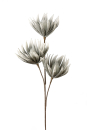 Gilde Dahlie mit 3 Blüten  grau 42859