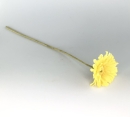 Dekoblume Kunststoff Gerbera gelb L:50cm