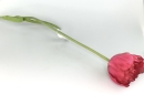 Dekoblume Tulpe Kunststoff rosa L:85cm