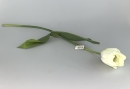 Dekoblume Tulpe Kunststoff weiß L:55cm